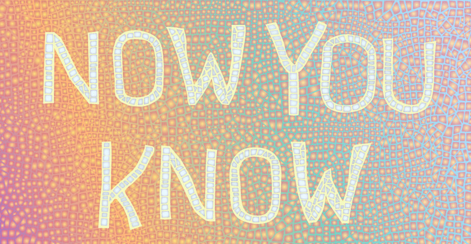 ‘Now You Know’ Cards
