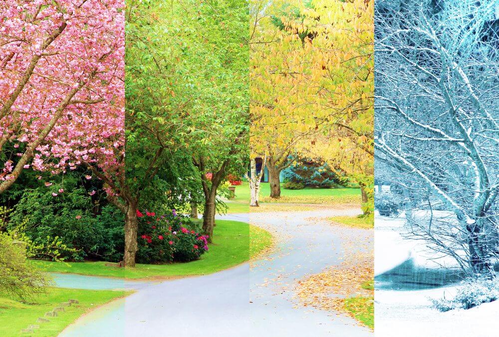 Do the Four Seasons Have an Effect on Your Mental Health?