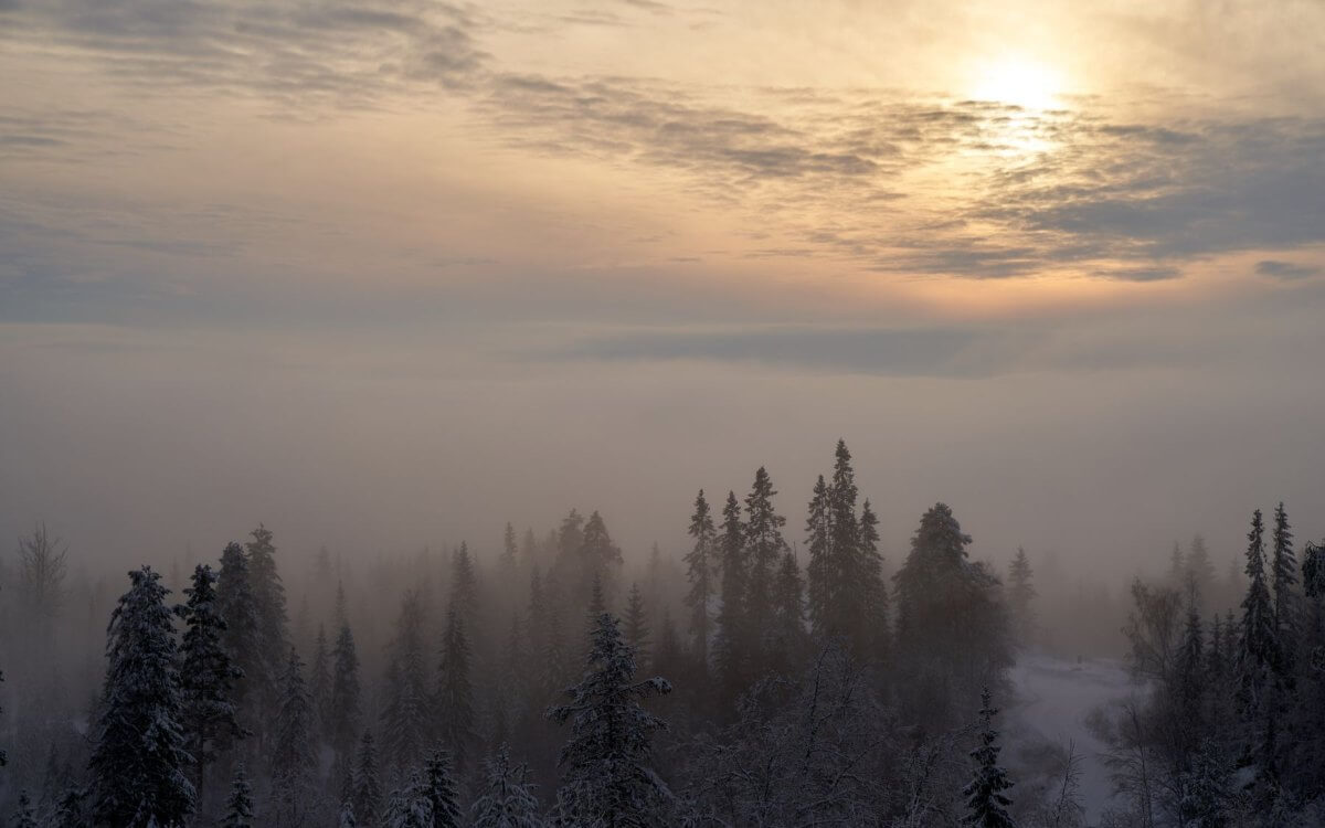 Seasonal Affective Disorder Treatment Low winter light, a common trigger for seasonal affective disorder